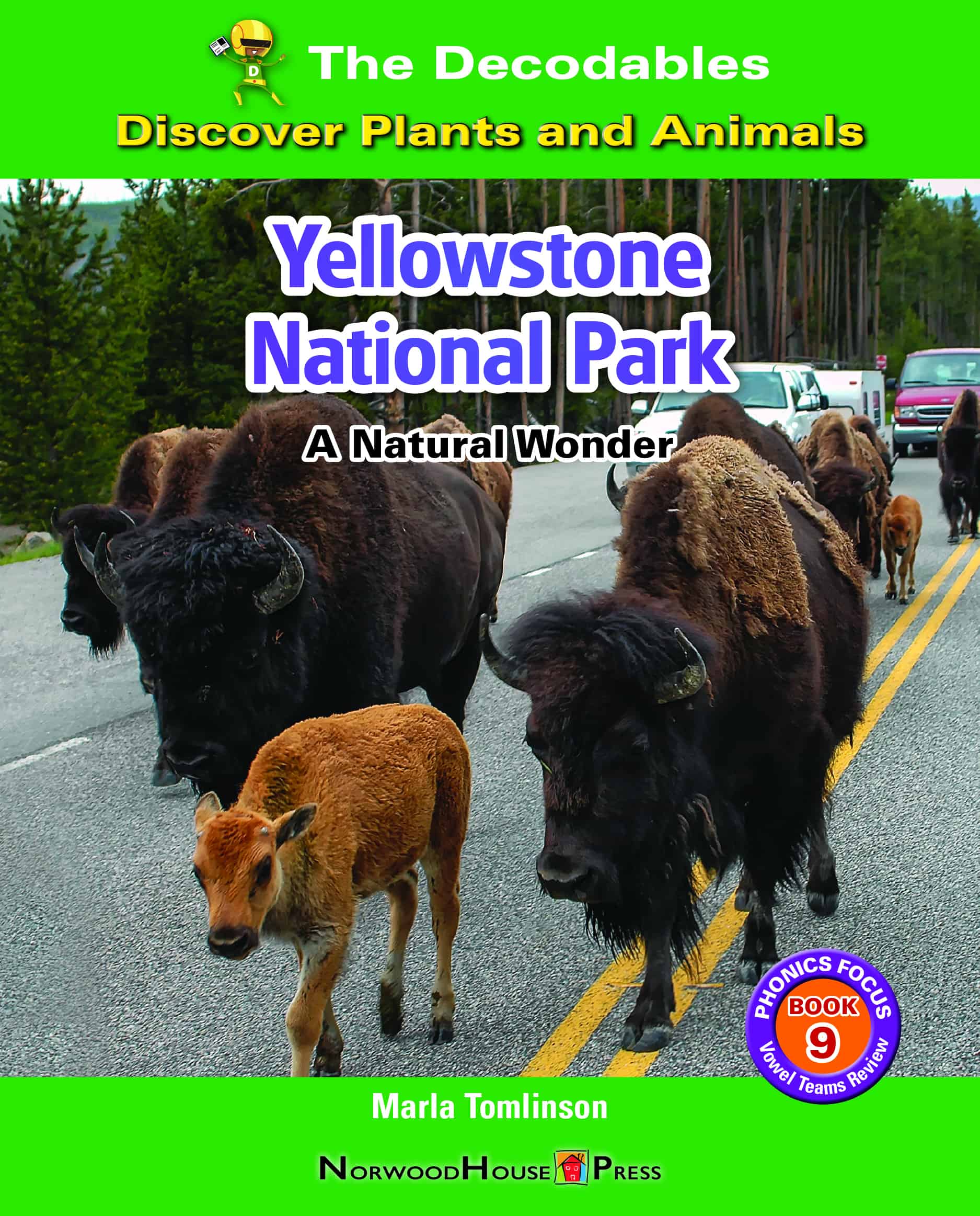 Yellowstone National Park: A Natural Wonder – Norwood House Press