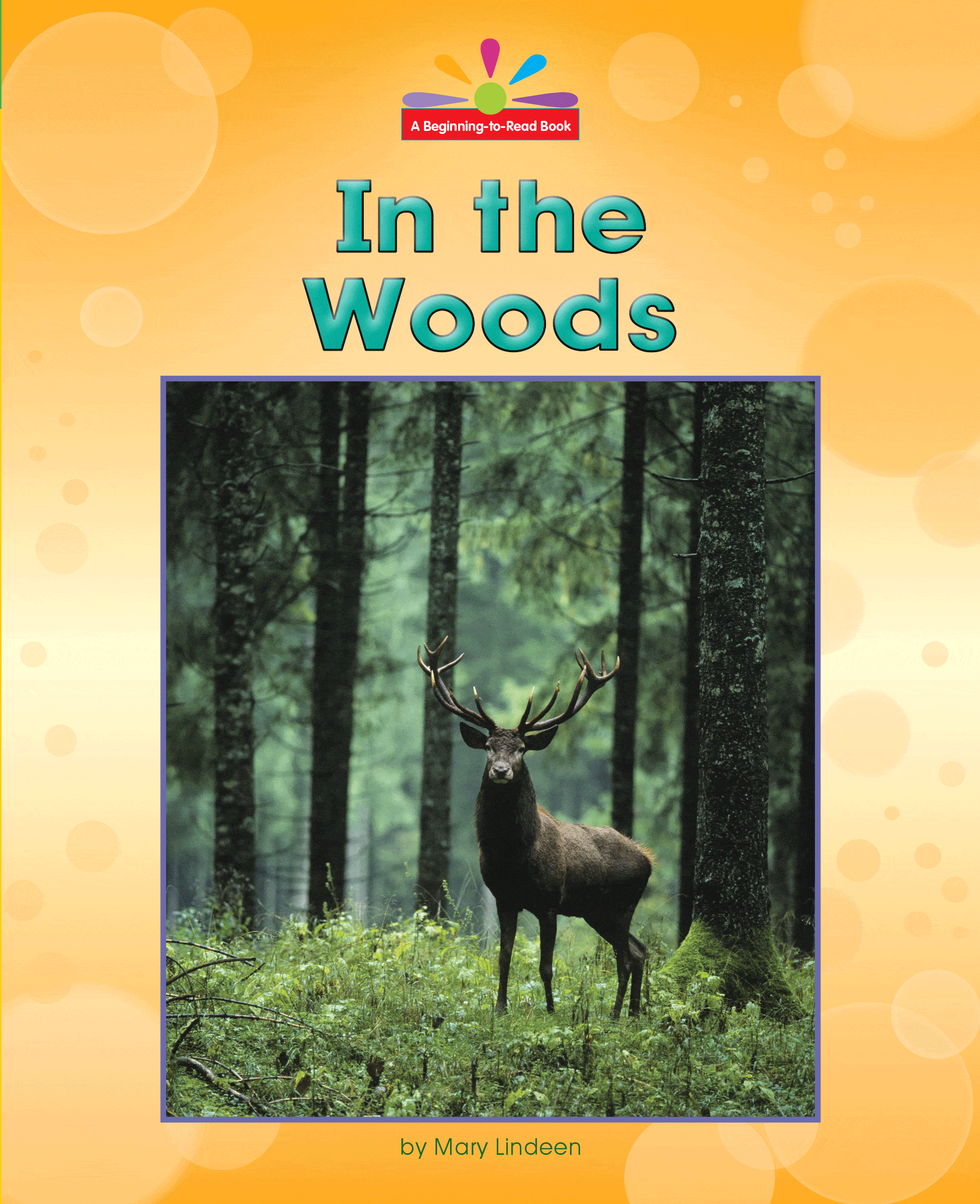 In the Woods – eBook-Library – Norwood House Press