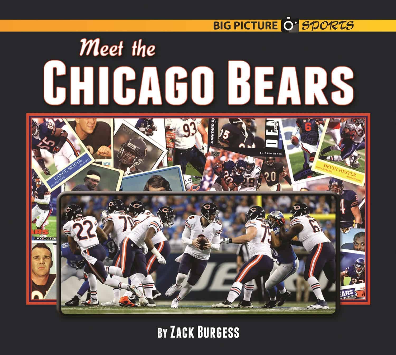 Chicago Bears [Book]