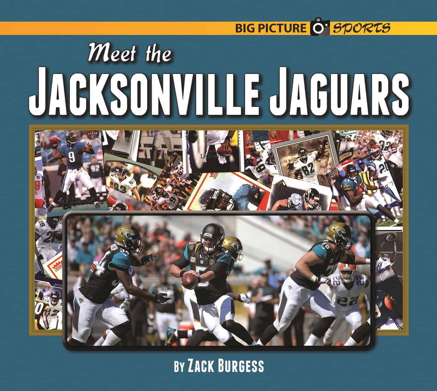 The Jacksonville Jaguars - Bellwether Media, Inc.