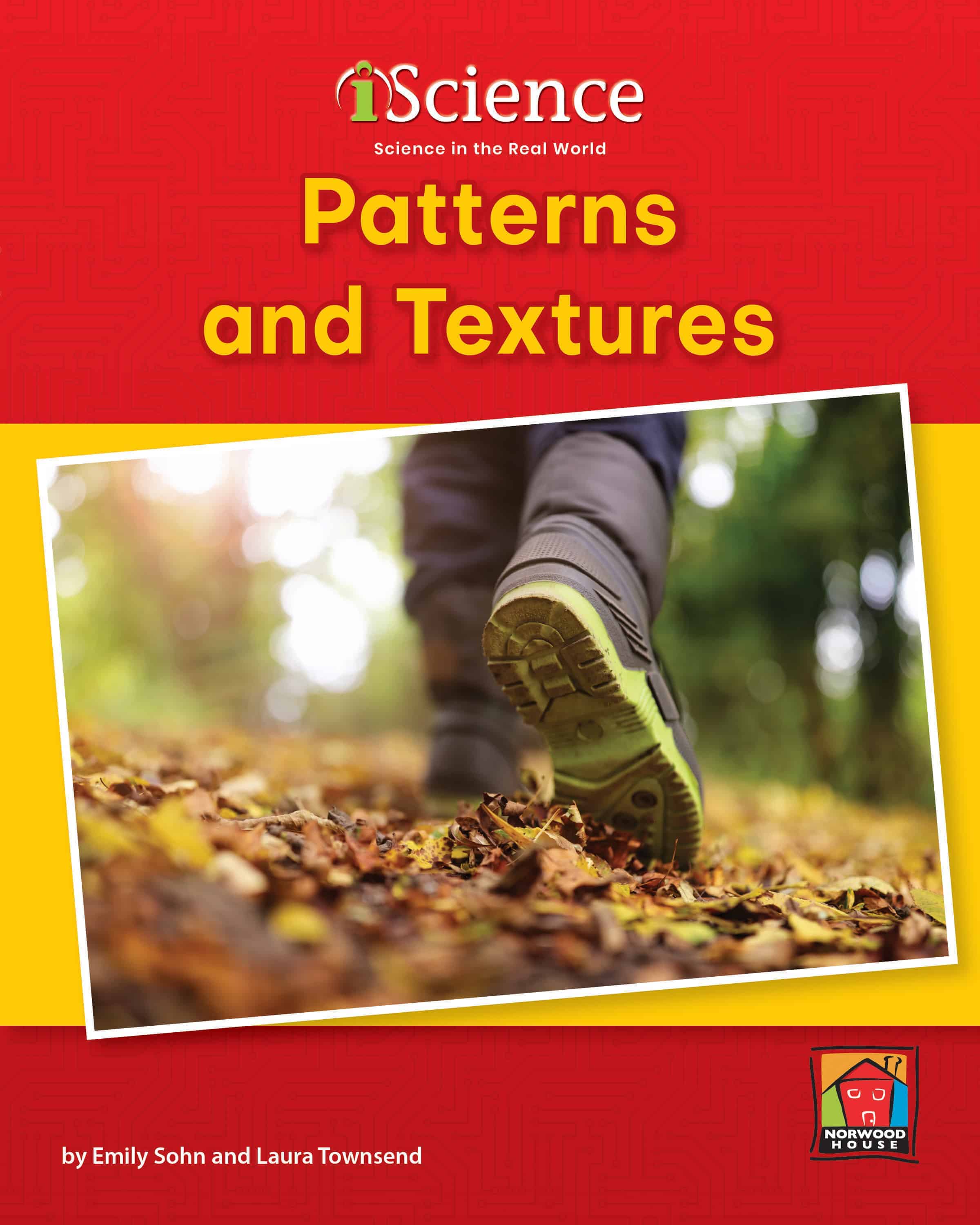 Patterns And Textures (Level B) – EBook-Library – Norwood House Press